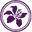 Hong Kong Monetary Authority 香港金融管理局